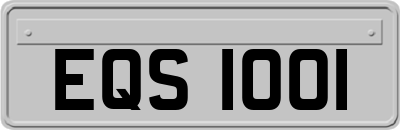 EQS1001