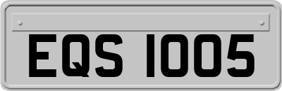 EQS1005