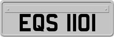 EQS1101