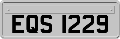 EQS1229