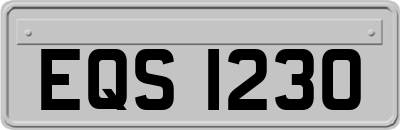 EQS1230