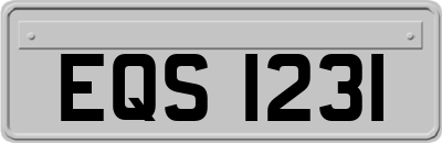 EQS1231
