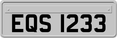 EQS1233