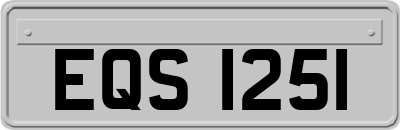 EQS1251