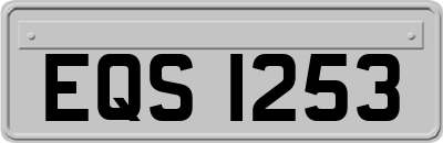 EQS1253