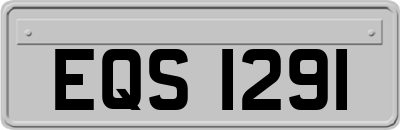 EQS1291