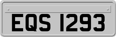 EQS1293