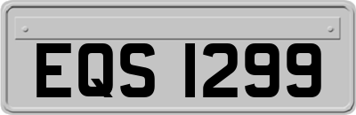 EQS1299