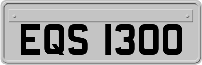 EQS1300