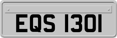 EQS1301