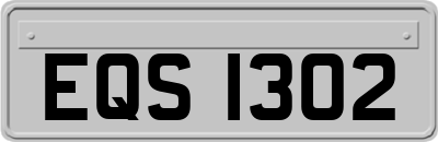 EQS1302