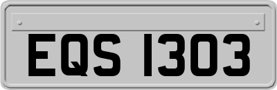 EQS1303