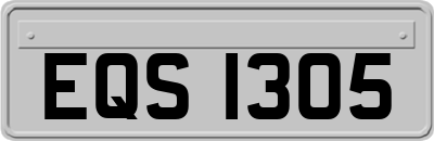 EQS1305