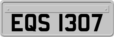 EQS1307