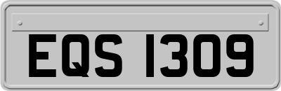 EQS1309