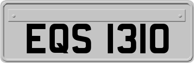 EQS1310