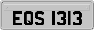 EQS1313