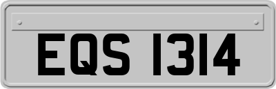 EQS1314
