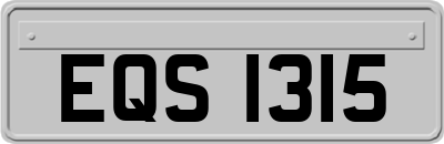 EQS1315
