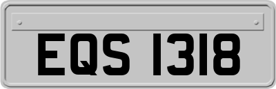 EQS1318