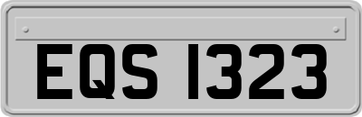 EQS1323