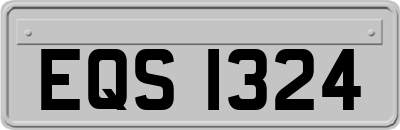 EQS1324