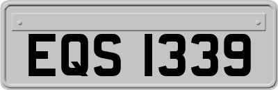 EQS1339