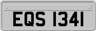 EQS1341