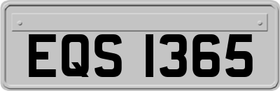 EQS1365