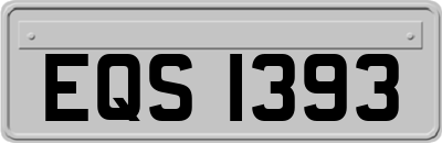 EQS1393