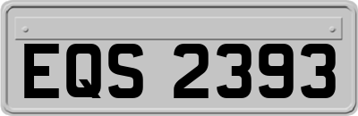 EQS2393