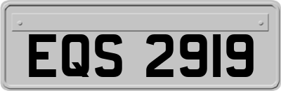 EQS2919