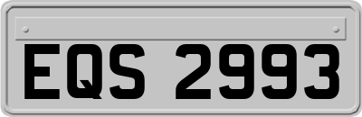 EQS2993