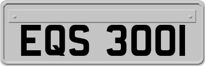 EQS3001