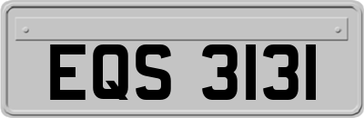 EQS3131