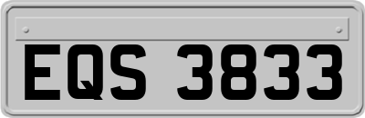 EQS3833