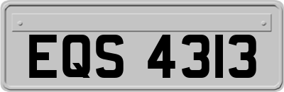 EQS4313