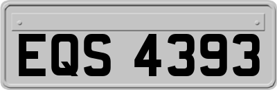 EQS4393