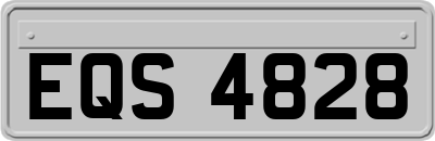 EQS4828