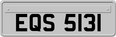 EQS5131