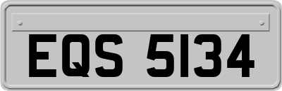 EQS5134