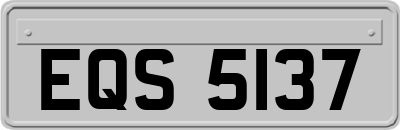 EQS5137
