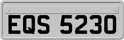 EQS5230