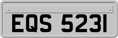 EQS5231
