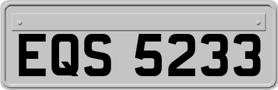 EQS5233