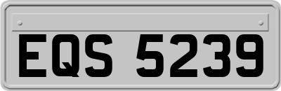 EQS5239