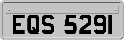EQS5291