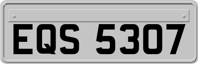 EQS5307