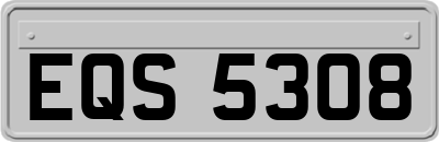 EQS5308