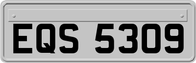 EQS5309